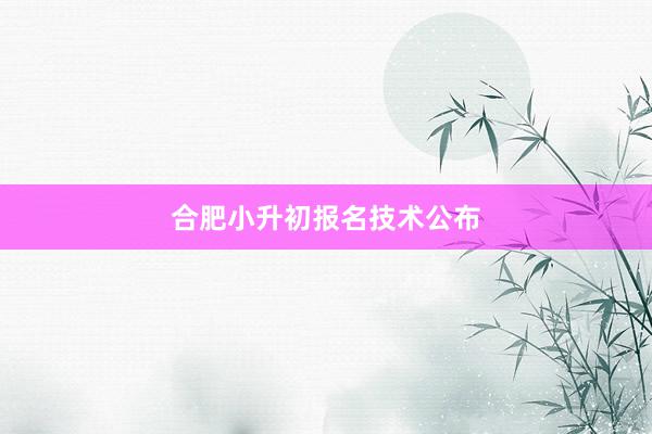 合肥小升初报名技术公布