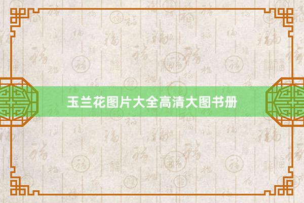 玉兰花图片大全高清大图书册