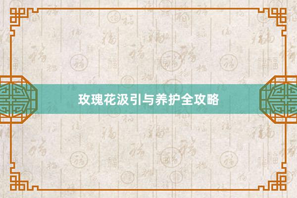 玫瑰花汲引与养护全攻略